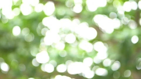 Green background, Nature green tree out focus as bokeh blur background. Video stock 124523986