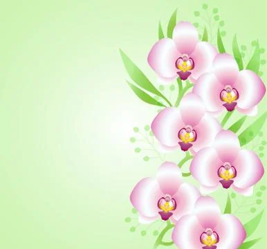 Green background with orchids Stock Illustration
