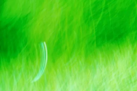 Green background outdoors Stock Illustration