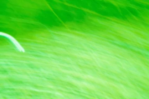 Green background outdoors Stock Illustration