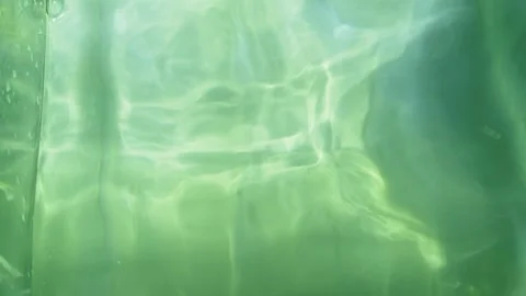 A green background with a person in the foreground Stock Footage 313563706