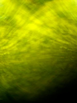 Green background Fotos de archivo