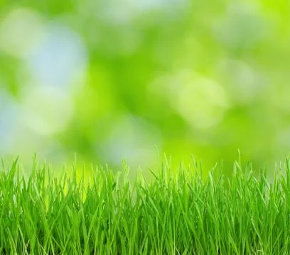 Green background Stock Photos