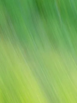 Green background Stockfoto's