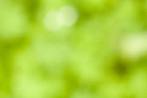 Green Background Stock Photos