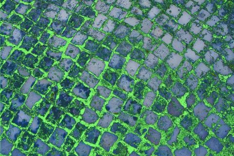 Green background Stock Photos