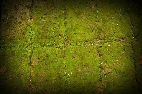 Green background Stock Photos