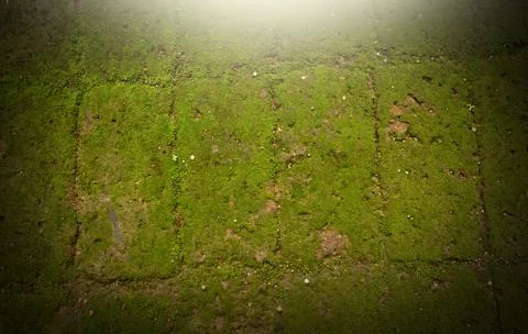 Green background Stock Photos