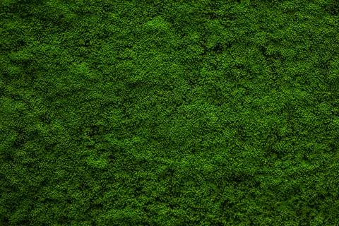 Green background. Stock Photos