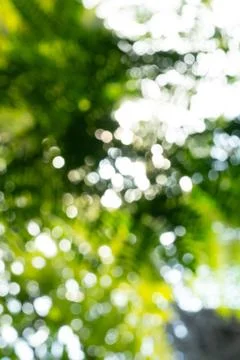 Green background Stockfoto's