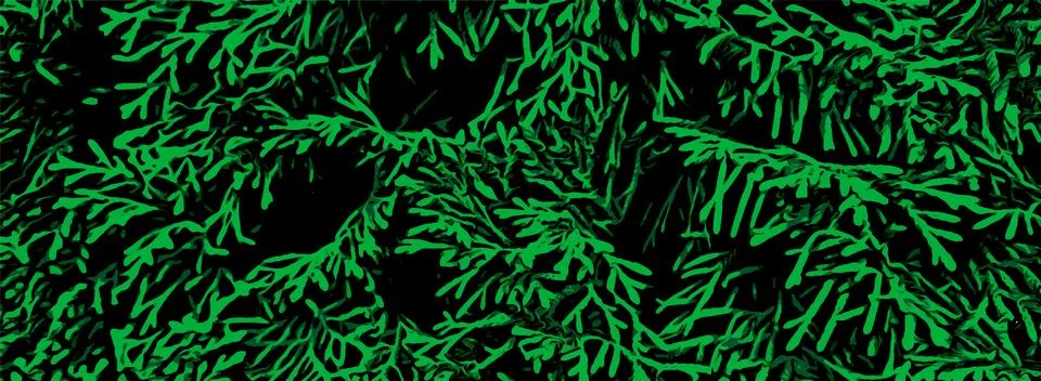 Green background with pine branches. Vector floral pattern Stock Illustration