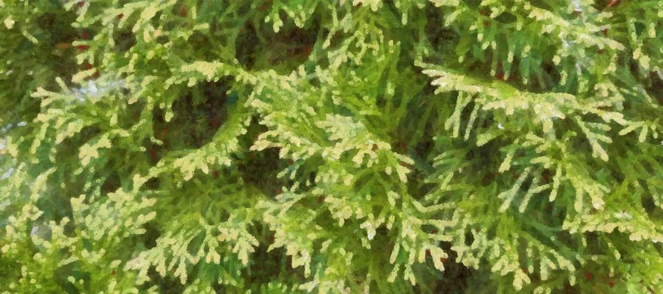 Green background with pine branches. Vector floral pattern 스톡 일러스트