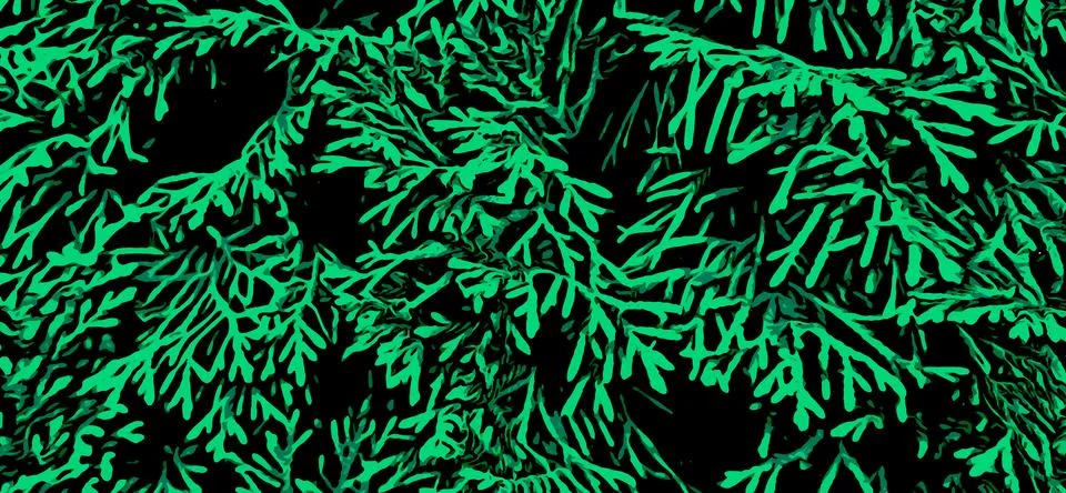 Green background with pine branches. Vector floral pattern Stock Illustration