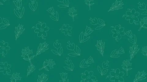 Green Background with Plant Outlines - A Subtle Botanical Pattern. Stock Footage 321845043