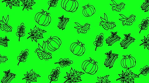 Green background with pumpkin leaf and insect outlines. Suitable for halloween o Stock Footage 323604879