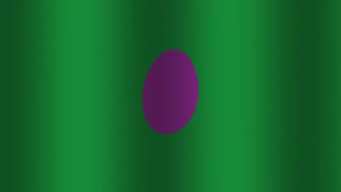 Green background with a purple circle in the center Stock Footage 338125931