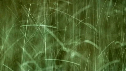 Green background rain drops splash, dancing rain drops Stock Footage 221502126