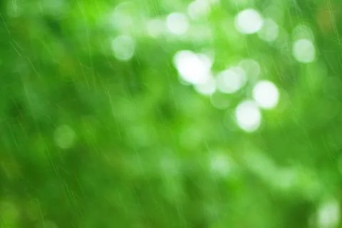 Green background with raindrops Stock-Fotos