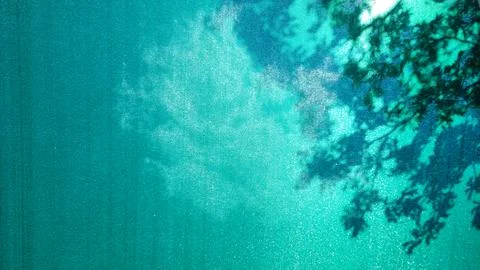 Green background with shade trees Stock Photos