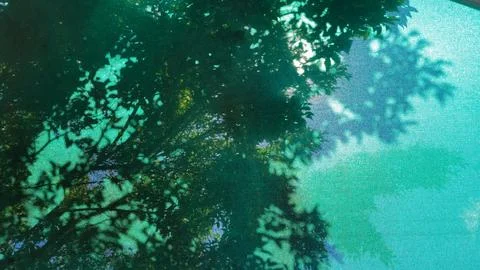 Green background with shade trees Stock Photos