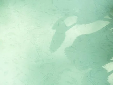 Green Background Shadow Leaf Abstract Minimal Eco Evergreens Environment 写真素材