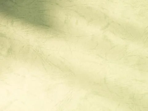 Green Background Shadow Leaf Abstract Minimal Eco Evergreens Environment Foto stock
