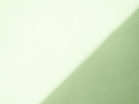 Green Background Shadow Leaf Abstract Minimal Eco Evergreens Environment 스톡 사진