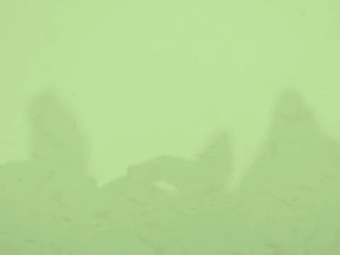 Green Background Shadow Leaf Abstract Minimal Eco Evergreens Environment Foto stock