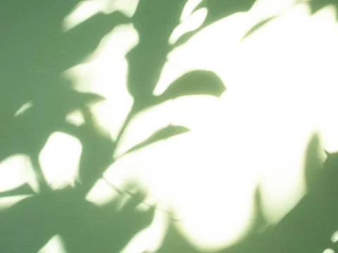 Green background shadow light overlay blur nature on cment floor wall Stock Illustration