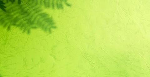 Green background shadow light overlay blur nature on cment floor wall イラスト素材