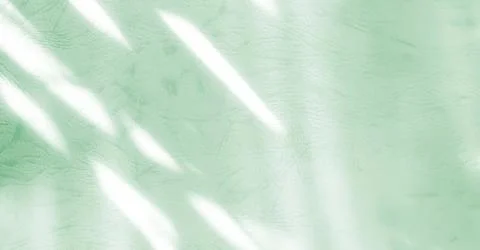 Green background shadow light overlay blur nature on cment floor wall イラスト素材