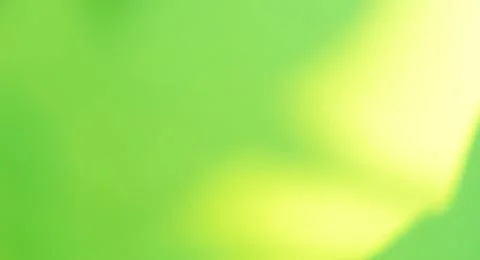 Green background shadow light overlay blur nature on cment floor wall Stock Photos