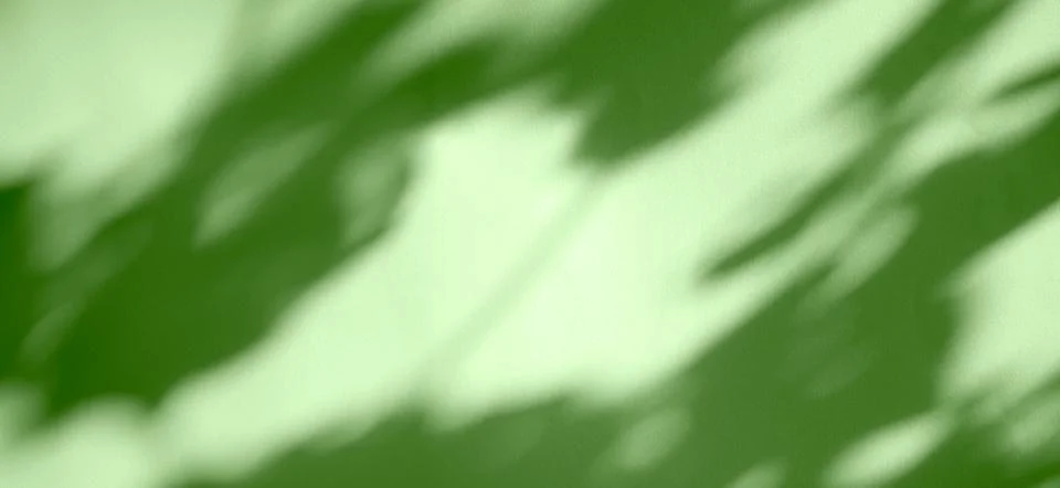 Green background shadow light overlay blur nature on cment floor wall Stock Photos