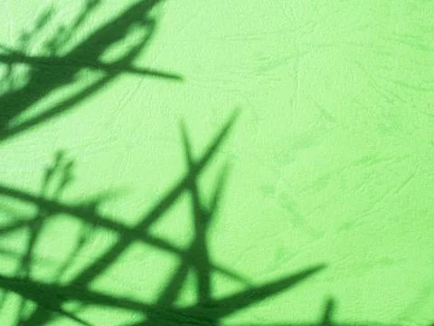 Green background shadow light overlay blur nature on cment floor wall Stock Photos