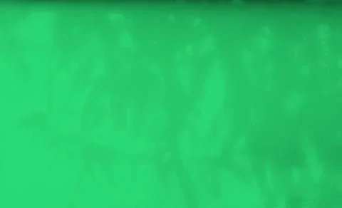 Green background shadow light overlay blur nature on cment floor wall Stock Photos
