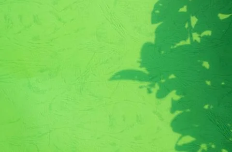 Green background shadow light overlay blur nature on cment floor wall Stock Photos