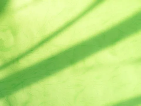 Green background shadow light overlay blur nature on cment floor wall Stock Photos