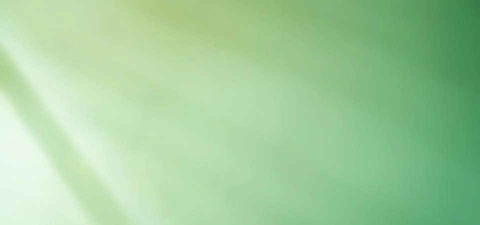 Green background shadow light summer sunight overlay nature on room cement Stock-Fotos