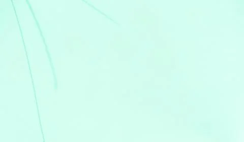 Green background shadow light summer sunight overlay nature on room cement Stock Photos