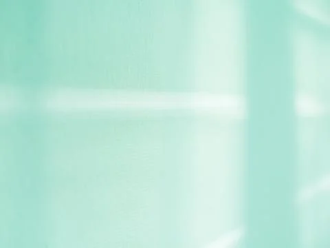 Green Background Shadow Window Abstract Minimal Eco Evergreens Environment .. 스톡 사진