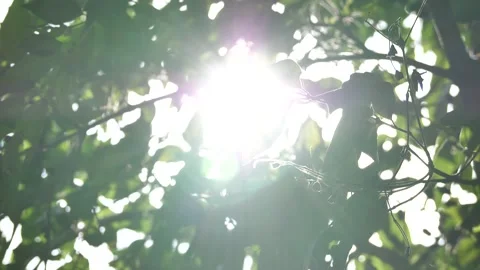 Green background with the shining sun, Stock Footage 140750898