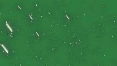 A green background with snow flakes and lot of rain falling from the sky drops 库存影片 337341031