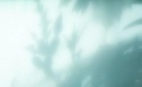 Green background teal blue shadow light overlay blur nature on cement Stock Photos