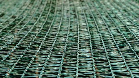 Green background texture for interior design. Abstract backgrounds for design Stock Photos