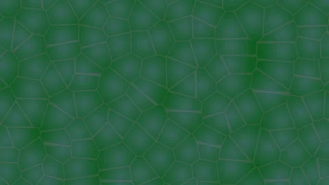 Green Background Texture Pattern Design. 스톡 동영상 329928456