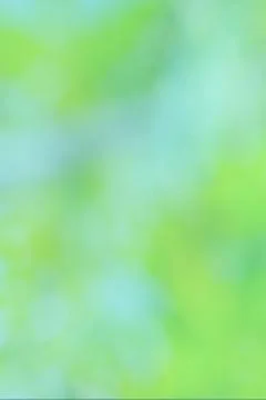 Green background texture. Stock Photos