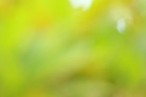 Green background texture. Stock Photos