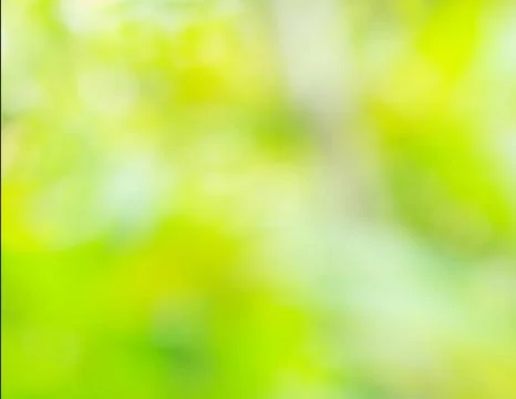 Green background texture. Фото