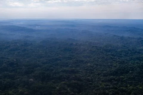 Green background, tree tops in the amazon, aerial view Foto stock