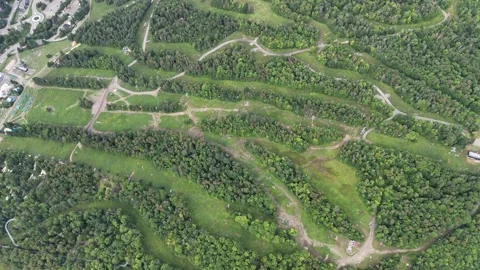 Green background trees Stock Footage 281305321